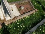 image of grave number 538516